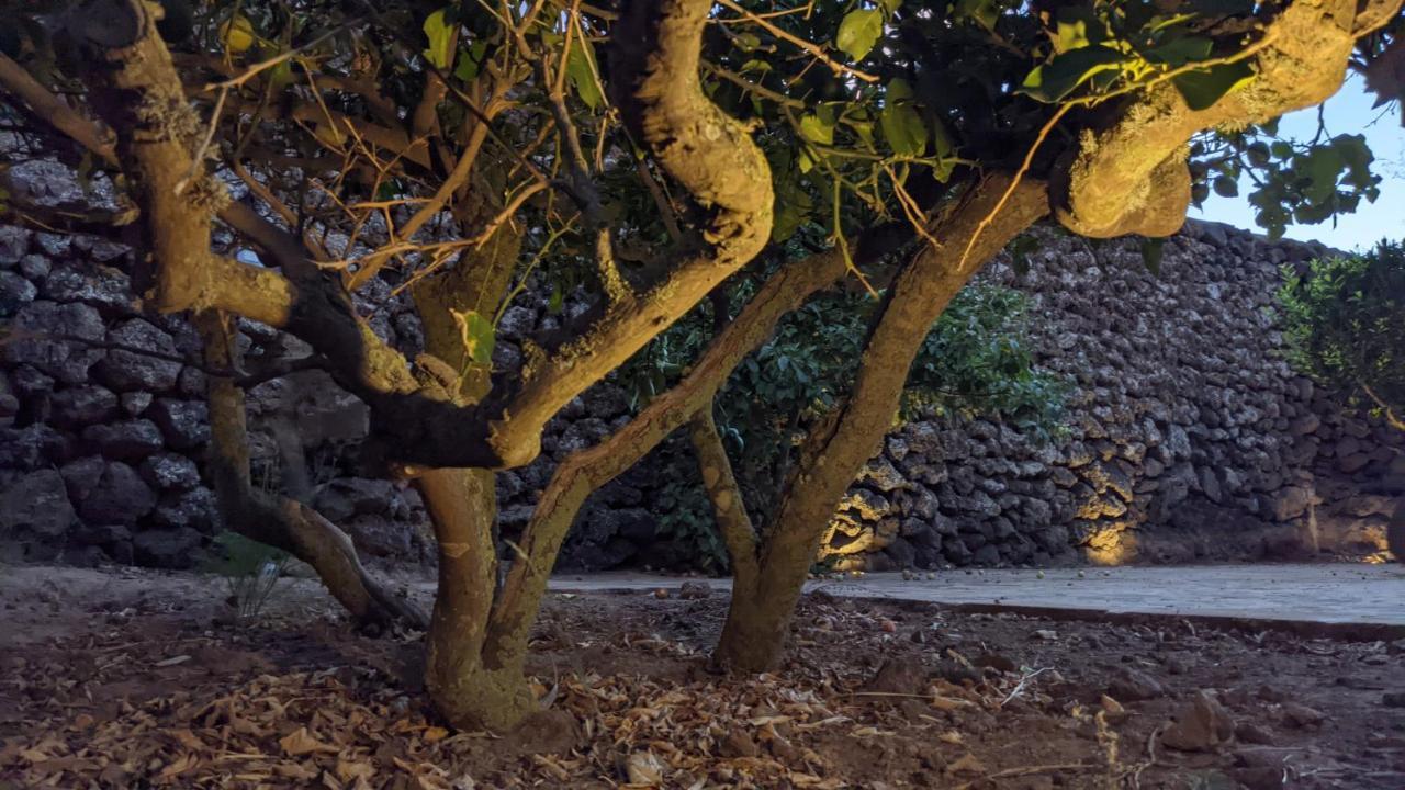 Horizon Pantelleria Bed & Breakfast Campobello Exterior photo