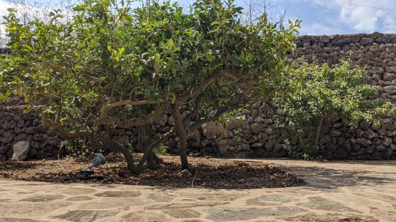 Horizon Pantelleria Bed & Breakfast Campobello Exterior photo