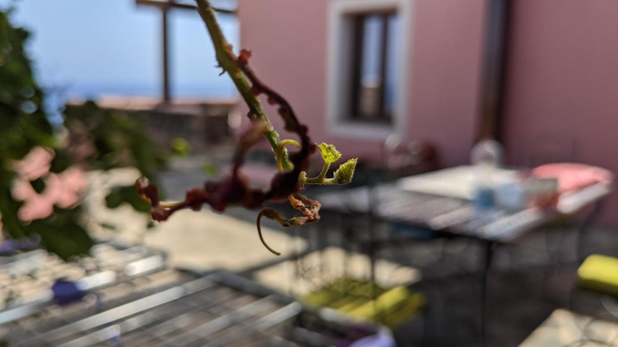 Horizon Pantelleria Bed & Breakfast Campobello Exterior photo